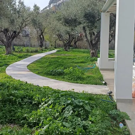 Olive Grove בית נופש סקירוס