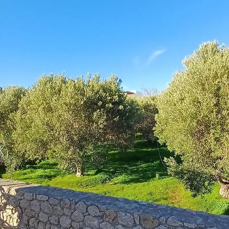 בית נופש Olive Grove סקירוס